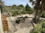 Finca Moscari Inca42