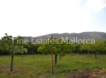 Finca Port Andratx Col den Baix10