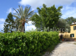 Finca Port Andratx Col den Baix5