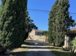 Finca Samntany David6