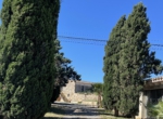 Finca Samntany David6 Kopie