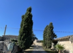 Finca Samntany David7