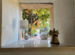 IMG-20250429-WA0006