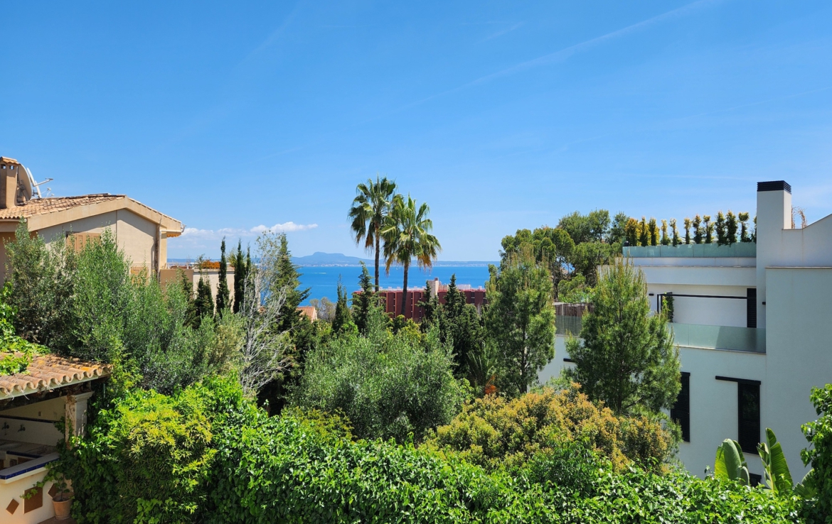 luxury villa terrace with swimming pool and private garden in Palma, Mallorca