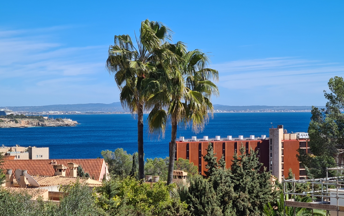 luxury villa terrace with swimming pool and private garden in Palma, Mallorca