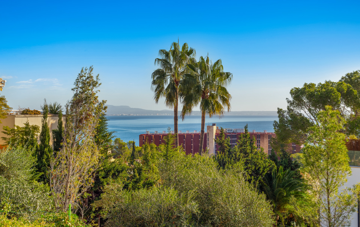 luxury villa terrace with swimming pool and private garden in Palma, Mallorca